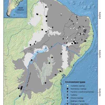  Phytogeographical Survey of the Philippines: Exploring the Archipelago's Green Canvas