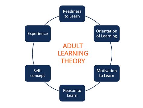  Understanding Curriculum: A Critical Introduction to Educational Theory - Exploring the Tapestry of Learning Experiences